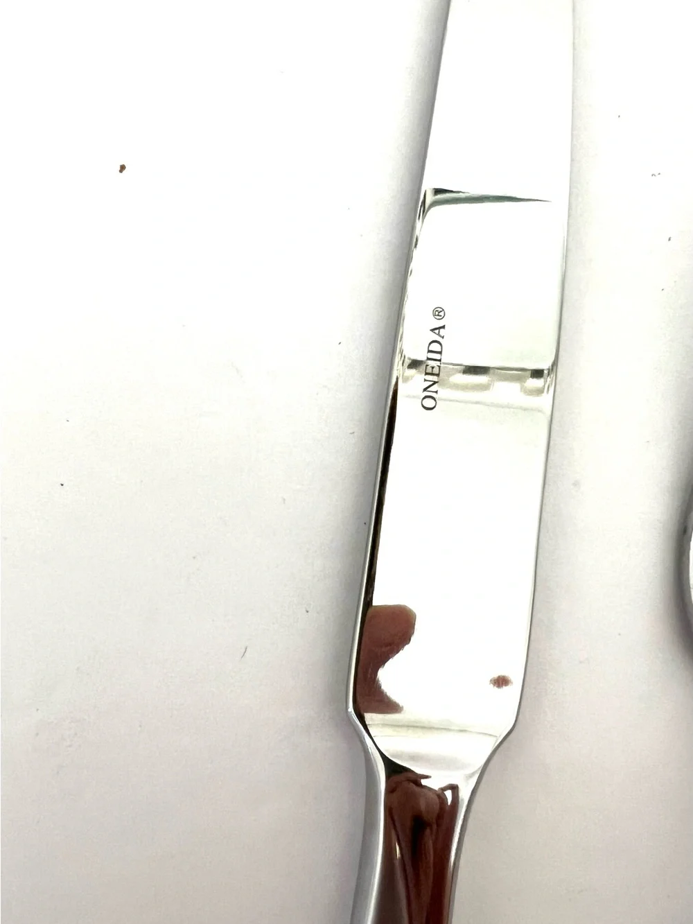 Oneida Camlynn Cleo Stainless Steel Flatware 5-Piece Place Setting Satin Handle